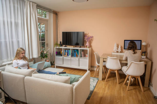 Comfortable living space with dual work areas, featuring a sofa, laptop user, and a desk workstation.